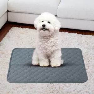 펫도그 빨아쓰는 배변패드 강아지 세척배변패드 강아지배변판 배변판