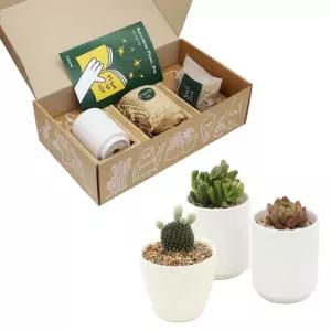 화이트 화분베이스 다육식물 패키지 세트 미니화분 식물인테리어 화분