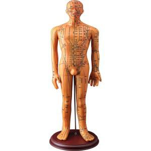 한의원 마네킹 모형 전신 발경혈모델 경락 인체 연습 교육 인형