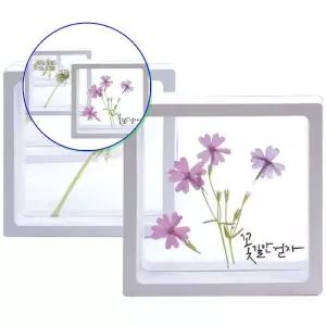 쌍문상회 글로벌이투명 액자 하바리움 압화 곤충 대 1인용