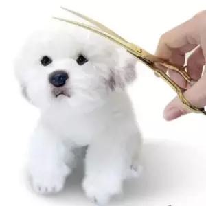 [반려] 강아지 커브 일자빗 반려견 셀프 미용 가위 세트 골드