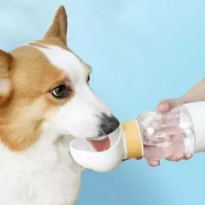 [반려] 반려견 물병 강아지 간식통 휴대용 산책물통