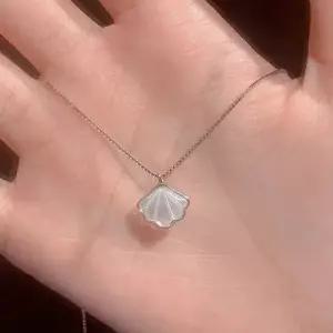 볼드체인 조개 껍데기 영롱 목걸이 WFFVYUK