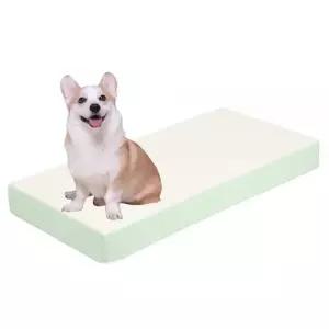 초코펫하우스 강아지 계단 침대 슬개골 보호 논스텝 2.0 1단