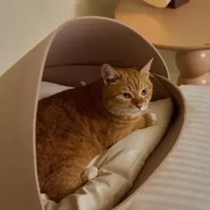 세이펫 고양이 숨숨집 캣 펠트 폭신한 쿠션 쉘하우스