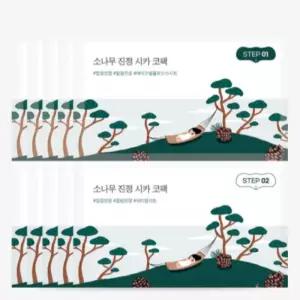 라운드랩 코팩 소나무 시카 블.랙헤드 피지 5매