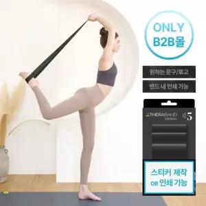 세라밴드 정리운동 스트래칭용 레벨5 밴드 D3194