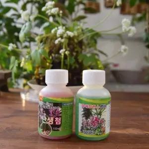 서양란 동양란 식물영양제 희석액비 100ml 텃밭영양제