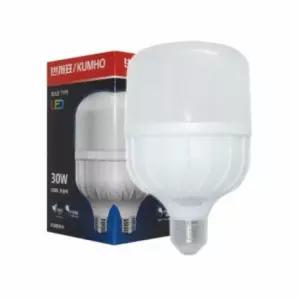 [Deco] 글러브램프 30W E26 주광색 알전구 엘이디조명 천정전등 호텔조명