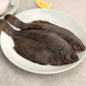 [바다담음] 통영 도다리(냉동) 1kg / 손질 후 800g내외(2∼4미)