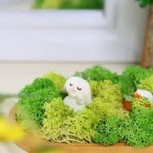 그린모스 토끼들의 숲 DIY 패키지 (10개 묶음) 잡화점