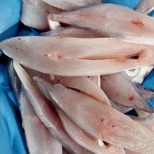 국내산 프리미엄 횟감용 병어 500g(생와사비+간장+초장)