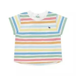 (블루독베이비) 26SS(크림)레인보우 티셔츠 여름백일돌선물 4631433201