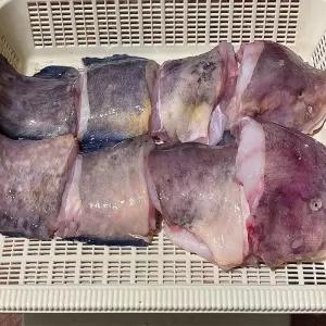 남해 손질 생물 물메기 1kg 1미 생물메기 손질물메기 꼼치 물곰 물텀벙 이 곰치 물메