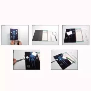 [창의와 날개] 우리몸뼈 관찰하기 x 5세트 학교 단체 재미있는 과학 수업 교구