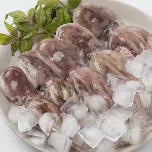 쫄깃 제철 서해 자연산 활 쭈꾸미 급냉 1kg