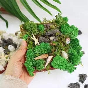 화산석 이끼 모스 오브제 DIY 패키지 (5개 묶음) 뉴진스토끼모