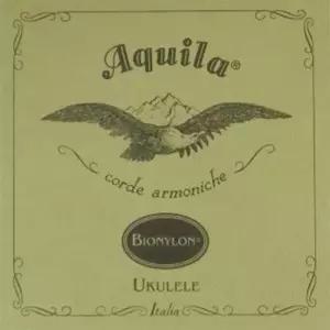 [스쿨뮤직]Aquila BIONYLON - Concert(Low G)