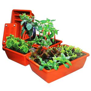 바퀴일체형 텃밭화분 대형 이동식 화분 텃밭세트 씨앗