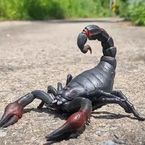 아트박스 세계토이 데코앤 소프트 전갈 1P 모형 동물 교육용 완구 피규어