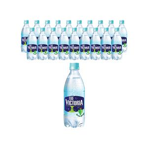 더 빅토리아 탄산수 청포도향 500ml, 20개