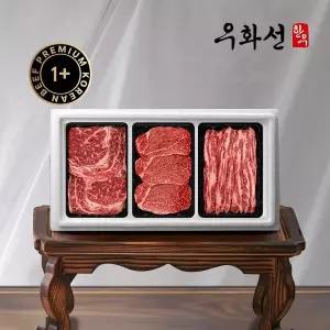 갤러리아 특선 숙성한우 1+등급 등심 구이 선물세트 3호 (등심+안심+특수부