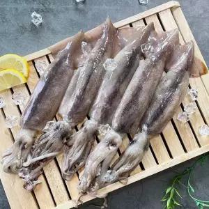 간편하게 활용 손질 통오징어 팩포장