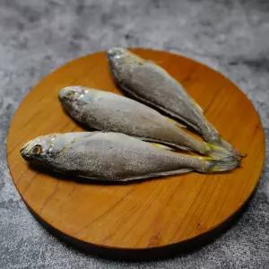 군산 반건조 손질 참조기(20cm 내외) 국내산 말린 생선 진공 포장