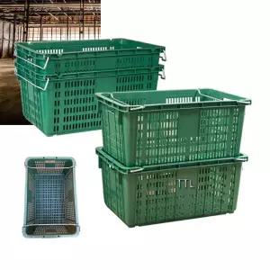 운반상자 농산물 대형 플라스틱 바구니 사각 5개/아사짐/농수산물/포장용/블루베리/배구공/탁구공