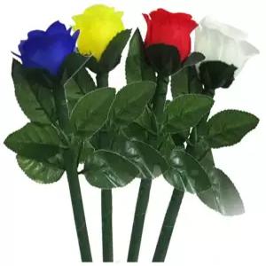 꽃마술 컬러체인지 로즈 색상이 바뀌는 장미마술