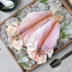 [서귀포수협] 특대 제주 반건조 옥돔 특선1호 250g x 3팩