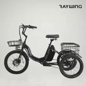 레이윙 캐리 EZ 삼륜 전기자전거 48V 고출력 자전거 부모님선물