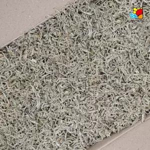 지리멸치 중 1.5kg 세멸치 햇멸치 볶음용멸치 조림용멸치 국물용멸치 남해안