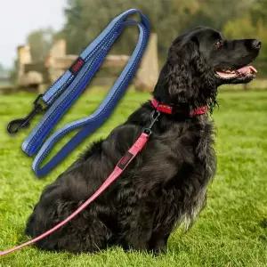 강아지 야간반사 리드줄 1.5cm 블루 S 1P 산책줄 리쉬 튼튼한산책줄