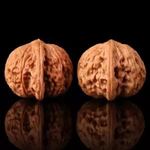 문완 호두 호도 지압기 손마디 깐호두 고도 마사지 고광택 악력 정선품 김