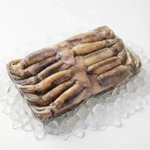 냉동 베이트 오징어 3kg 육동 오징어 통오징어 업소용 가정용