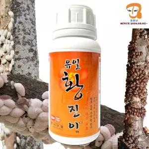 월동기 전용 유황비료 황진이 500ml 봄 가을 월동기 과수 나무 보호 수목 보호제 5말용 월동유 파라깍지합제와 혼용살포