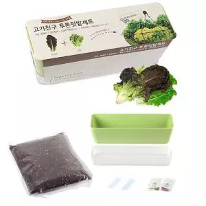 상추키우기 식물재배기 세트 상추키우기 텃밭상자 텃밭세트 실내텃밭