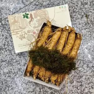 영주 풍기인삼 수삼 선물세트 750g