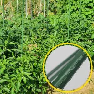 굵은 텃밭 오이지지대 식물지지대 화분 60cm 5P 화초지지대