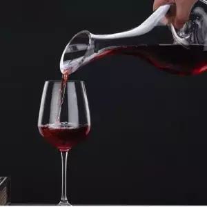 텐바이텐 카베르베넷 기본형 디켄터 1개