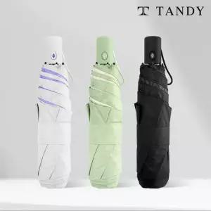 [2개세트]탠디 6K 뉴엘리 컬러암막 완전자동양우산