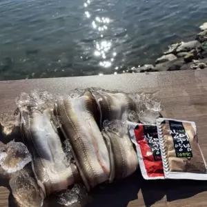 [신선식품] 국내산 바다 장어