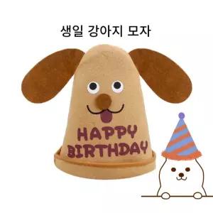 바른 강아지 생일 모자 파티 동물모자 잔치 돌잔치 돌잡이