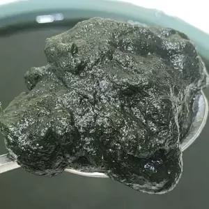 국내산 매생이 400g 2봉 [AZL269]