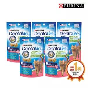 덴탈라이프 캣트릿 고양이껌 연어 51G 5개