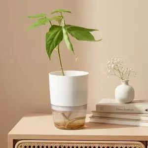 [티처스]민화샵 식물 키우기 키트 강낭콩 세트