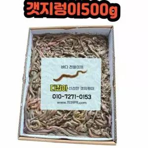 갯지렁이 낚시 미끼 청개비 낚시 미끼 생물 미끼용 원투 찌낚시