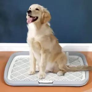 강아지 반려견 소변 마킹 화장실 훈련 배변판 배변 매트