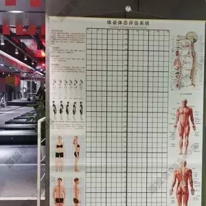 픽유아 11번가 체형분석표 바디 교정 체형분석 실크 측정